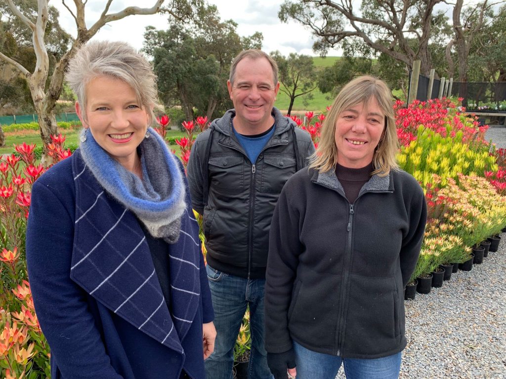 Protea World on ABC Gardening Australia 2020