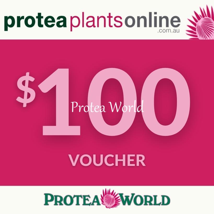 protea-plants-online-gift-voucher-100