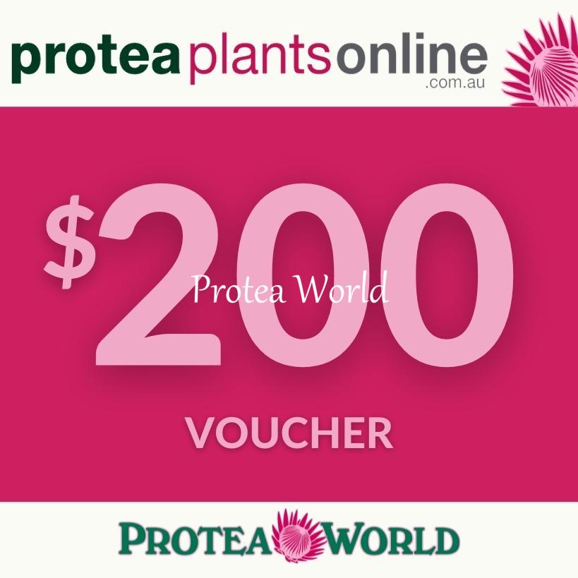 protea-plants-online-gift-voucher-200